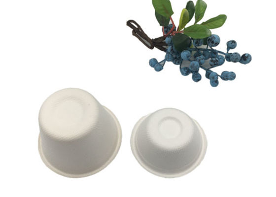4oz 72×30mm 120ml Biodegradable Cups And Lids