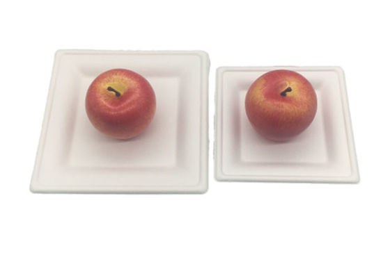 8 Inch Square Biodegradable Sugarcane Bagasse Plates