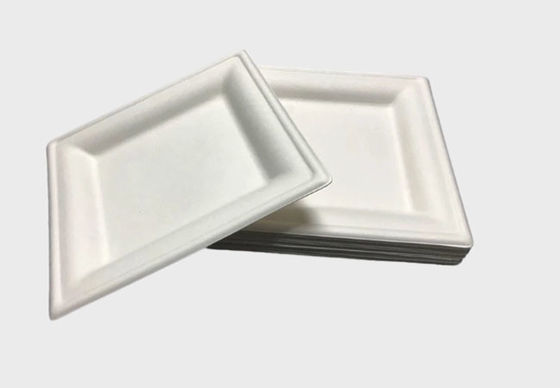Disposable Dinnerware 10 Inch Square Sugarcane Pulp Plates