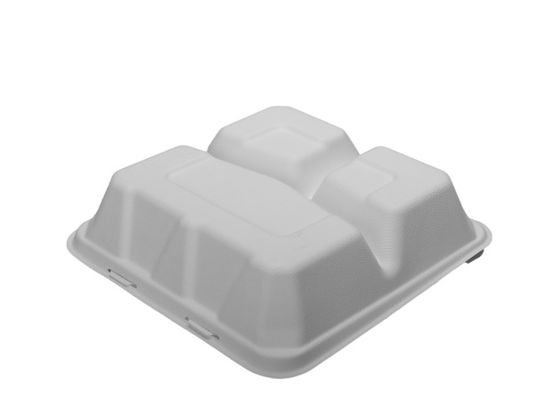 8 Inch 3 Compartment Plant Fiber Biodegradable Takeout Containers