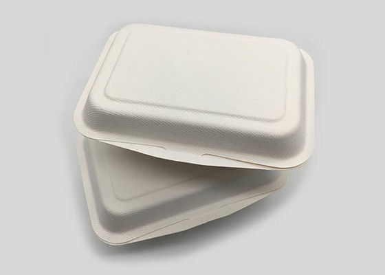 7×5 Inch Natural  Biodegradable Takeaway Food Containers