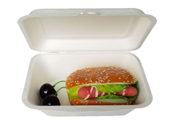 Eco Friendly Bagasse Clamshell Containers 271x182x45mm