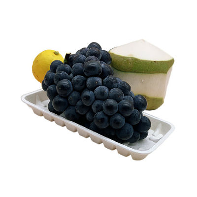 Biodegradable Cornstarch Trays