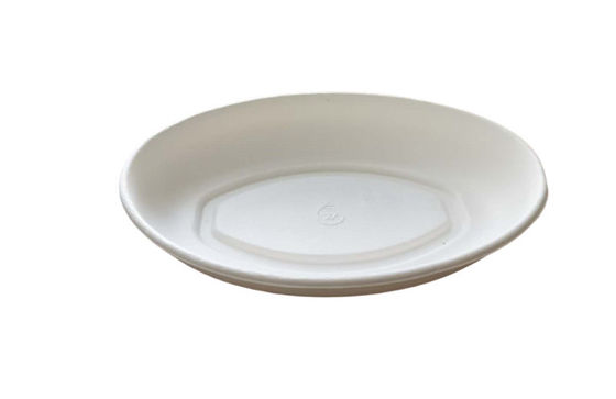 24oz Biodegradable Salad Boxes