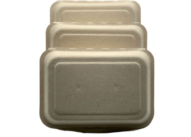 Biodegradable 7 ×5 Inch Bagasse Clamshell Containers 20g