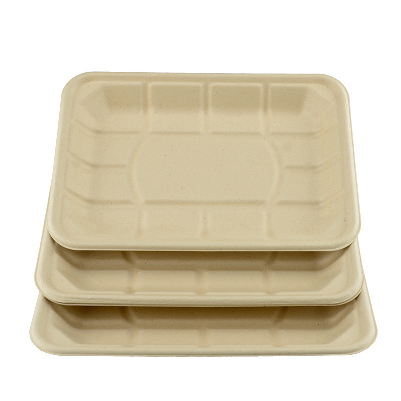 Sugarcane Bagasse Compostable Paper Food Tray 8*6inch  eco-friendly 100% biodegradable